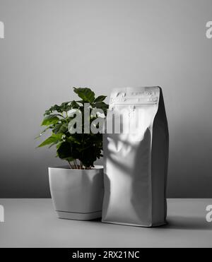 Mockup eines weißen Reißverschlusses mit Ventil, Arabica-Baum im Topf, Schatten, auf einem Wandhintergrund. Vorlage für stilvolle Verpackung für Kaffee, Beutel für Stockfoto