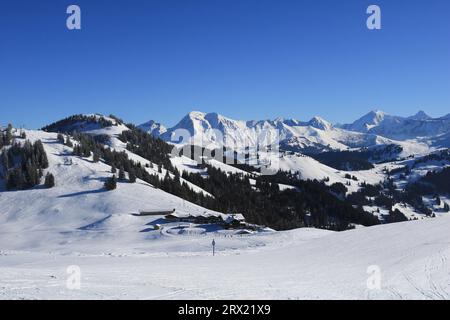 Horneggli Skipisten. Klarer blauer Wintertag in den Schweizer Alpen. Stockfoto