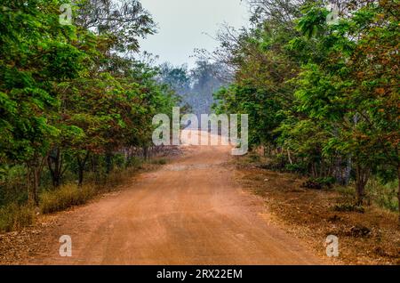 Eine unbefestigte Straße durch Koh Ker, die heute zum UNESCO-Weltkulturerbe gehört. Provinz Preah Vihear, Kambodscha. © Kraig Lieb Stockfoto