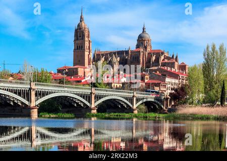 Salamanca Cathedrals aus Rio Tormes Stockfoto