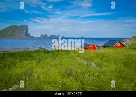 Rote Holzhäuser an der Küste des Meeres, umgeben von Grün in Vaeroy in Norwegen Stockfoto