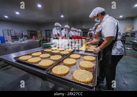 Luannan County, China - 8. September 2022: Der Arbeiter ölt die Mondkuchenhaut zum Backen. Stockfoto