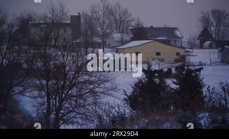 Ein Amish-Bauernhof mit Pferden und Vieh mit schwerem Schnee während der Frühphase eines gefährlichen Winterblizzards im Davis County, Iowa. Stockfoto