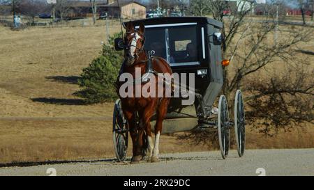 Ein Amish-Buggy fährt am späten Winternachmittag in Zeitlupe über die kargen Landstraßen des Davis County, Iowa. Stockfoto