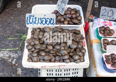 Phuket, Thailand - 25. Februar 2018: Verkauf von Djenkol- oder Jengkol-Samen auf dem Straßenmarkt. Archidendron pauciflorum oder scherzhaft auf Baazar verkaufen. Archidendro Stockfoto