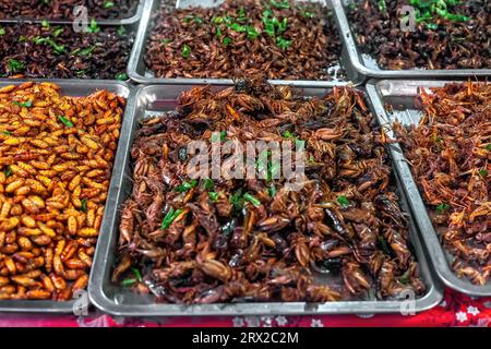 Frittierte scharfe Grillen Insekten am nächtlichen Straßenmarkt. Geröstete Grashüpfer-Käfer im Ladenverkauf in Asien. Exotische natürliche Heuschrecken, Verkauf von Mahlzeiten Stockfoto