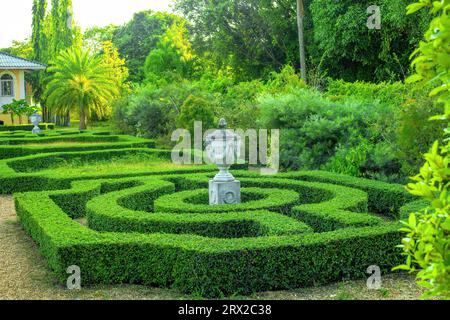 Grüne buxus-Labyrinthe im Frühjahrspark. Buchsbaumhecken Labyrinth und dekorative griechische Urne im Sommer Ziergarten Stockfoto