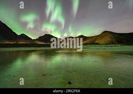 Grüne Lichter von Aurora Borealis (Nordlichter) spiegeln sich im gefrorenen Meer am Strand Haukland, den Lofoten, Nordland, Norwegen, Skandinavien Stockfoto