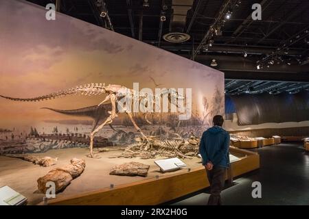 Drumheller, Alberta, Kanada – 12. Dezember 2021: Das Royal Tyrrell Museum of Palaeontology beherbergt die größte Sammlung von Dinosaurier-Fossilien in Kanada. Stockfoto