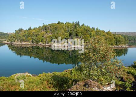 Blick von Tioram Castle von Loch Moidart Reflections, Lochaber, Schottland, Großbritannien Stockfoto