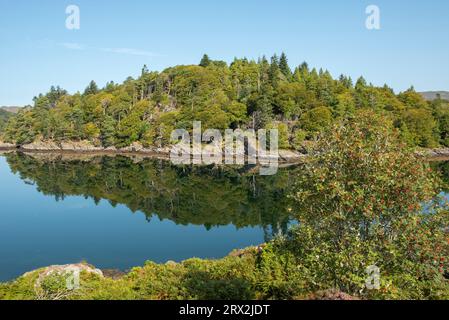 Blick von Tioram Castle von Loch Moidart Reflections, Lochaber, Schottland, Großbritannien Stockfoto