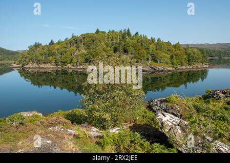 Blick von Tioram Castle von Loch Moidart Reflections, Lochaber, Schottland, Großbritannien Stockfoto