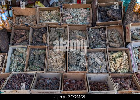 Lokale Wurzeln und Blätter, Markt für traditionelle Medizin, Garoua, Nordkamerun, Afrika Stockfoto