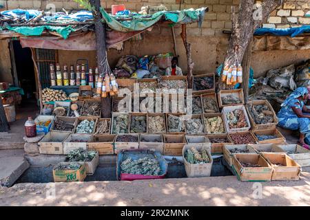 Lokale Wurzeln und Blätter, Markt für traditionelle Medizin, Garoua, Nordkamerun, Afrika Stockfoto