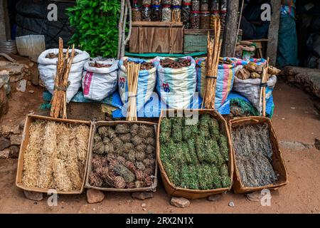 Lokale Wurzeln und Blätter, Markt für traditionelle Medizin, Garoua, Nordkamerun, Afrika Stockfoto