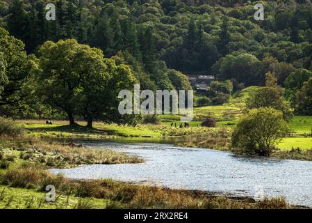 Tranquill-Szene von The Elter Water in the Lake District National Park Towrds Birk Rigg Park Coppice. Stockfoto