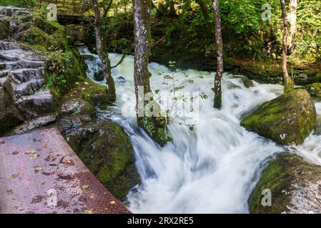 Die Skelwith Force auf dem Fluss Brathay auf dem Cumbrian Way bei Skelwith bei Ambleside im Lake District. Ein reißender Bach nach kurzem Regen. Stockfoto