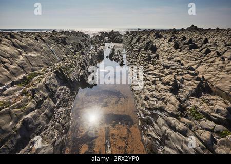 Ein sonnendurchfluteter Küstenpool an der Atlantikküste bei Ebbe, Welcombe Mouth, eine Bucht im Hartland-Gebiet im Norden von Devon, England Stockfoto