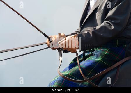 Lederhandschuhe, die die Zügel einer Kutsche halten Stockfoto