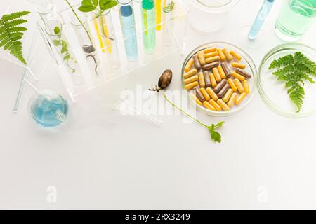 Reagenzgläser mit Pflanzen im Halter, Vitamine auf hellem Hintergrund, Labor. Stockfoto
