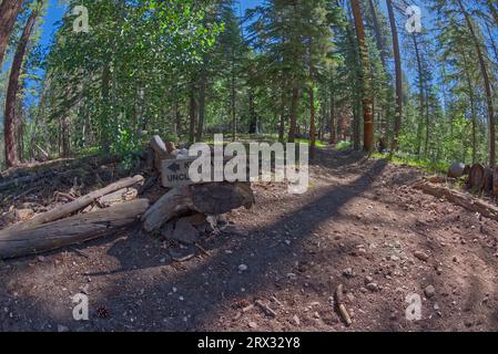 Der Ken Patrick Trail und der Uncle Jim Trail am Grand Canyon North Rim, Grand Canyon National Park, Arizona Stockfoto