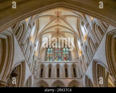 Gewölbedecke und Buntglasfenster, Wells Cathedral, Wells, Somerset, England, Vereinigtes Königreich, Europa Stockfoto