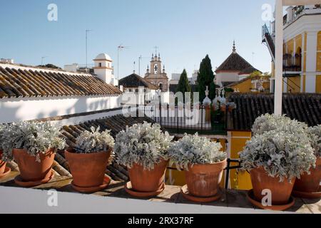 Hotel Las Casas de la Juderia, Sevilla, Andalusien, Spanien, Europa Stockfoto