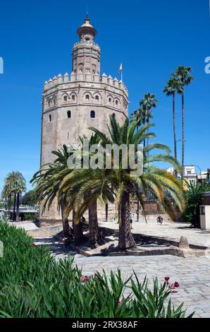 Torre del Oro, Sevilla, Andalusien, Spanien, Europa Stockfoto