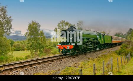 Fliegender Scotsman-Dampfzug, der zum Boot von Garten fährt, mit dem Cairngorm-Gebirge im Hintergrund Stockfoto