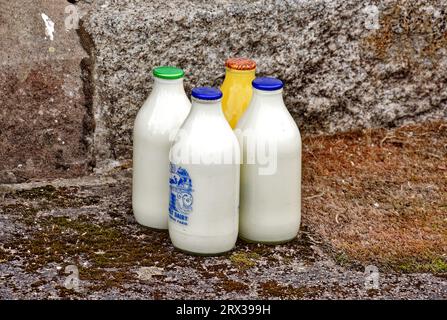 Milchflaschen und Orangensaft direkt vor der Haustür und alle sind voll mit Milch oder Saft Stockfoto