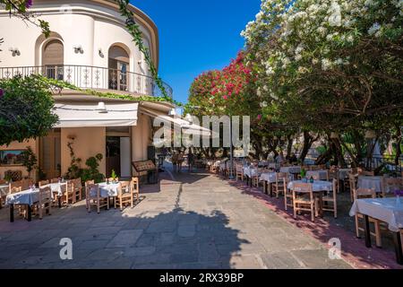 Blick auf Tavernen zwischen blühenden Bäumen, Kos Stadt, Kos, Dodekanesische, griechische Inseln, Griechenland, Europa Stockfoto