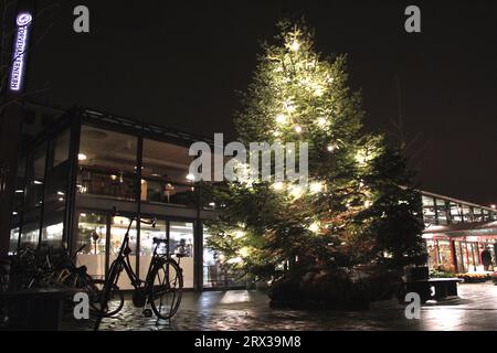 Kopenhagens beliebter Marktplatz Torvehallerne zu Weihnachten. Der Lebensmittelmarkt befindet sich in der Nähe des Bahnhofs Nørreport in Kopenhagen, Dänemark. Es wurde vom Architekten Hans Hagens entworfen und im September 2011 eröffnet. Stockfoto