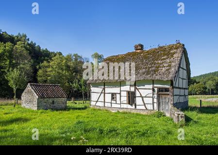 Ferienhaus aus dem 19. Jahrhundert in der Domaine du Fourneau Saint-Michel, Freilichtmuseum des wallonischen ländlichen Lebens in Saint-Hubert, Luxemburg, Belgische Ardennen, Belgien Stockfoto