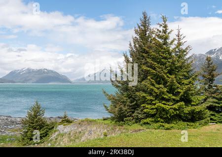 Chilkat Inlet vom Battery Point Trail im Chilkat State Park, Alaska, USA Stockfoto