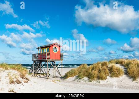 Roter hölzerner Rettungsschwimmer-Aussichtsturm auf Stelzen an der Strandbar in den Sanddünen am Strand Skanör med Falsterbo in der Morgensonne, Skåne, Schweden Stockfoto