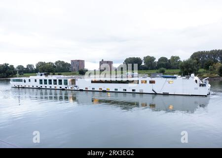 ARNHEM - das deutsche Kreuzfahrtschiff Arkona legt neben anderen Schiffen, die bereits als Aufnahmeort für Asylbewerber dienen, an der Rijnkade in Arnheim an. Mit der Ankunft dieses Schiffes und eines weiteren später am Wochenende hat Arnhem etwa 2.900 Plätze für Flüchtlinge geschaffen, und die Gemeinde reagiert auf den Notruf von Staatssekretär Eric van der Burg (Asylum), der 200 zusätzliche Plätze für Erwachsene Asylsuchende bat. ANP MARCEL KRIJGSMAN niederlande raus - belgien raus Stockfoto