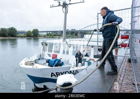 ARNHEM - das deutsche Kreuzfahrtschiff Arkona legt neben anderen Schiffen, die bereits als Aufnahmeort für Asylbewerber dienen, an der Rijnkade in Arnheim an. Mit der Ankunft dieses Schiffes und eines weiteren später am Wochenende hat Arnhem etwa 2.900 Plätze für Flüchtlinge geschaffen, und die Gemeinde reagiert auf den Notruf von Staatssekretär Eric van der Burg (Asylum), der 200 zusätzliche Plätze für Erwachsene Asylsuchende bat. ANP MARCEL KRIJGSMAN niederlande raus - belgien raus Stockfoto