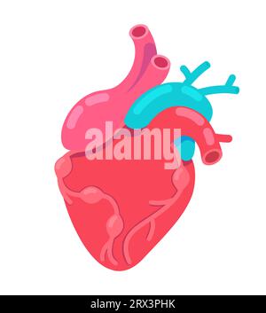 Heartbeat anatomisches 2D-Cartoon-Objekt Stock Vektor