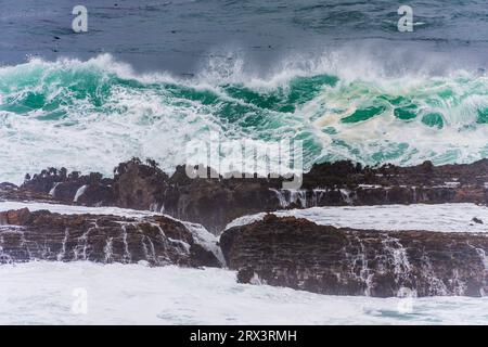 Weiße, rauschende Wellen und hohe Wellen vor der felsigen Küste des Point Arena Lighthouse an der pazifikküste Nordkaliforniens. Stockfoto