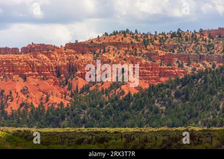 Red Rock Canyon Scenic Highway 12 in Dixie National Forest in Utah. Diese Schlucht ist nur wenige Kilometer vom Eingang zum Bryce Canyon National Park Stockfoto