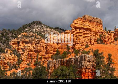 Red Rock Canyon Scenic Highway 12 in Dixie National Forest in Utah. Diese Schlucht ist nur wenige Kilometer vom Eingang zum Bryce Canyon National Park Stockfoto