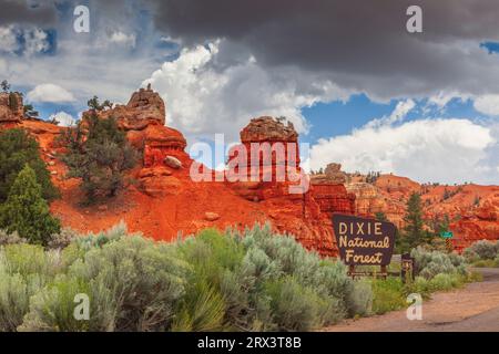 Red Rock Canyon Scenic Highway 12 in Dixie National Forest in Utah. Diese Schlucht ist nur wenige Kilometer vom Eingang zum Bryce Canyon National Park Stockfoto