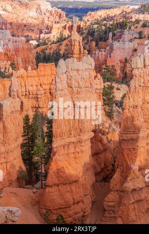 Abendlicht kurz vor Sonnenuntergang auf Hoodoos und Felsformationen im Märchenland Canyon im Bryce Canyon National Park in Utah... Stockfoto