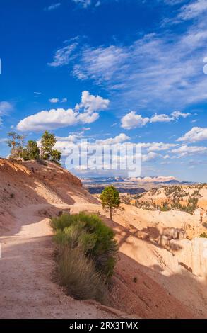 Abendlicht kurz vor Sonnenuntergang auf Hoodoos und Felsformationen im Märchenland Canyon im Bryce Canyon National Park in Utah... Stockfoto
