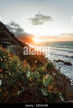 Wunderschöner Blick auf die Natur des Frühlings und Klippen entlang der Küste von Nord-Teneriffa bei Sonnenuntergang. Atlantik wellenförmiger Ozean mit bunten Blumen im Vordergrund auf der Kanarischen Insel Stockfoto