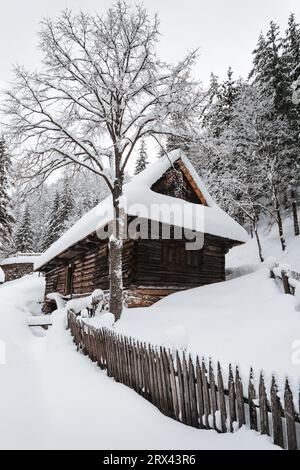 Vertikales Foto von schneebedeckten und gefrorenen Holzhütten in der Mitte des Berges (Wald) mit Bach im Hintergrund im Winter. Schneebedecktes slowakisches Wahrzeichen Stockfoto