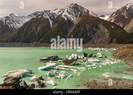 Gruppe von Eisbergen, die auf der Oberfläche des Tasman Lake im Mount Cook National Park schweben Stockfoto