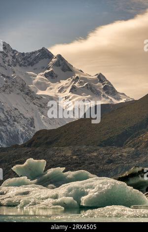 Gruppe von Eisbergen, die auf der Oberfläche des Tasman Lake im Mount Cook National Park schweben Stockfoto