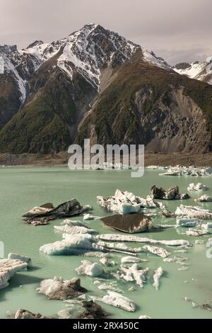 Gruppe von Eisbergen, die auf der Oberfläche des Tasman Lake im Mount Cook National Park schweben Stockfoto