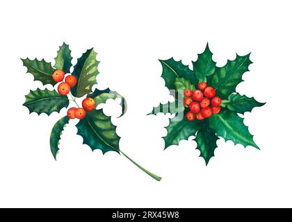 Europäische Weihnachtsbeere stechpalme Zweige Blätter und Früchte. Blumenzweig, rotes Weihnachtswinterneujahrssymbol. Einrichtung in Aquarellfarben mit traditionellen Ornamenten und Stockfoto